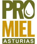 Promiel Asturias Promiel Asturias